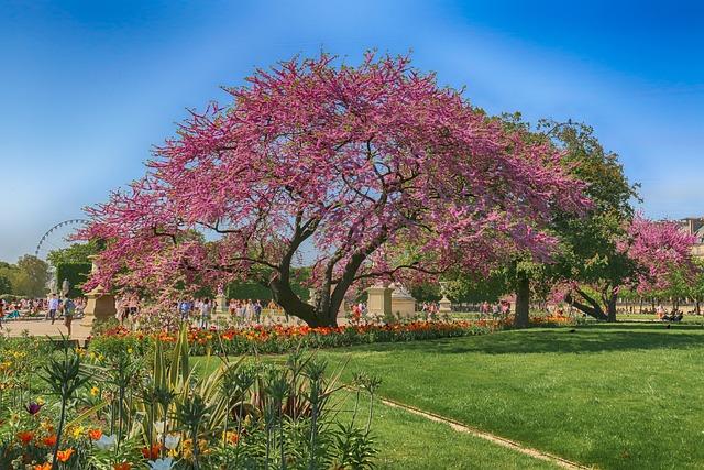 Jardin des Tuileries